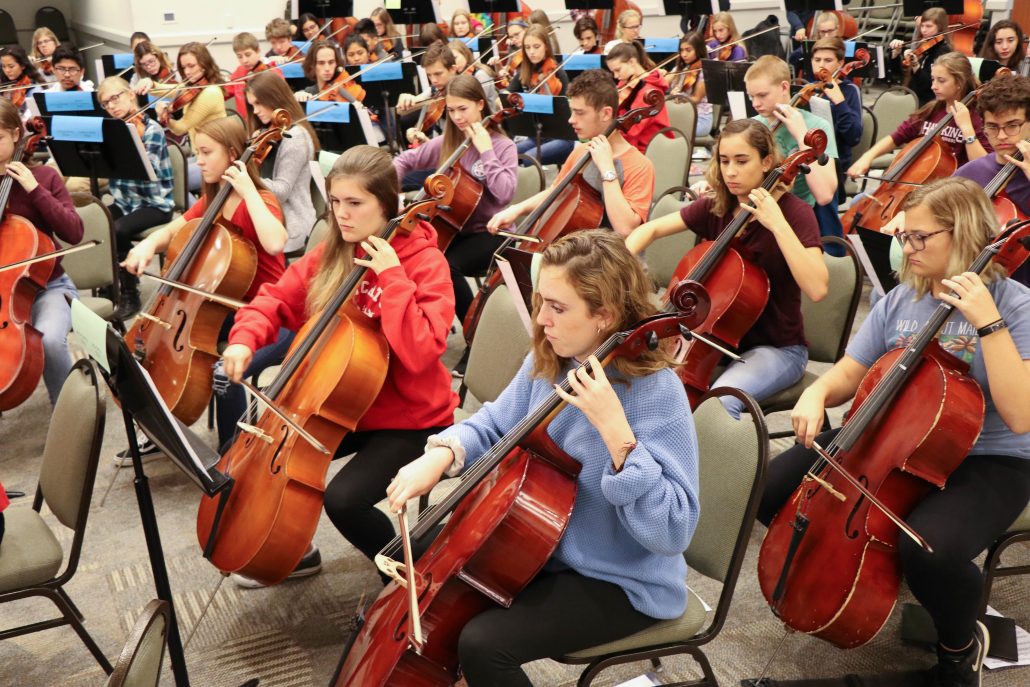 Berrian AllCounty Orchestra Expands Off Stage Henderson County
