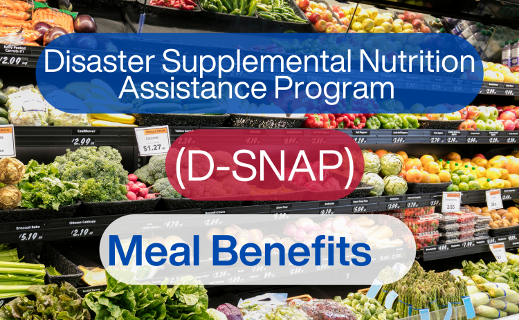 An image of text that says "Disaster Supplemental Nutrition Assistance Program. D-SNAP. Meal Benefits." The background image is produce at the grocery store.