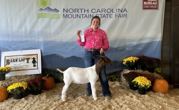 A female FFA student holding the leash of a goat at the North Carolina Mountain State Fair. She is holding a ribbon in the other hand. The back drop is a Farm Bureau fair background and plenty of mums and pumpkins.